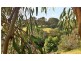 9 Lake Grove, Metung VIC 3904