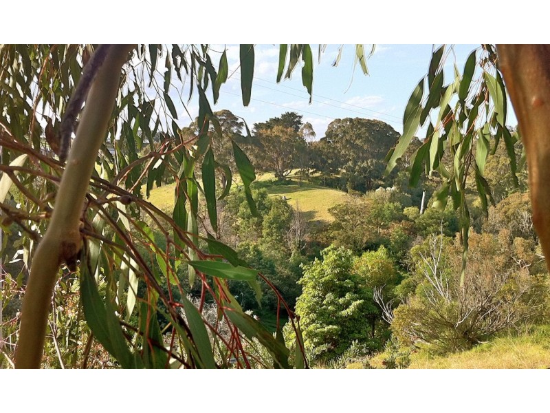 9 Lake Grove, Metung VIC 3904