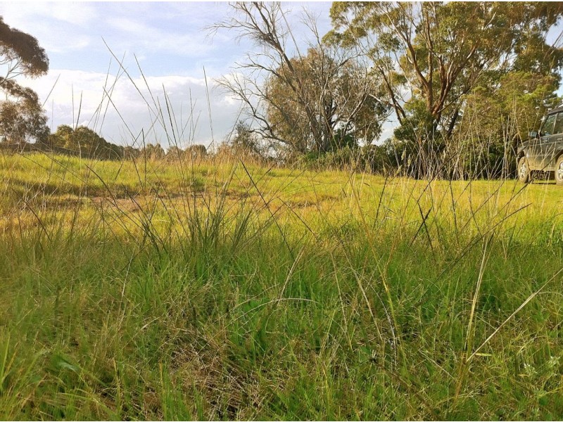 9 Lake Grove, Metung VIC 3904