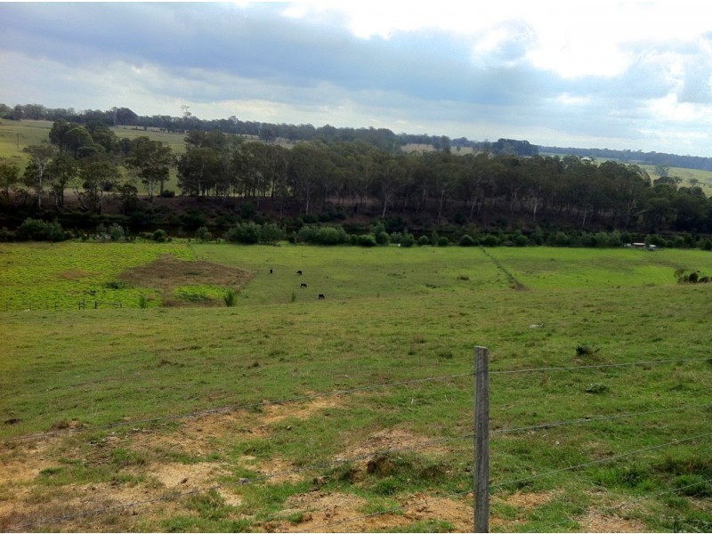 219 Tambo Upper Road, Swan Reach VIC 3903