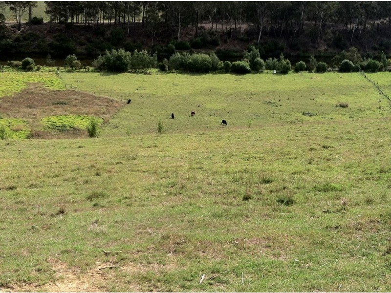 219 Tambo Upper Road, Swan Reach VIC 3903