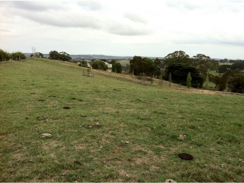 219 Tambo Upper Road, Swan Reach VIC 3903