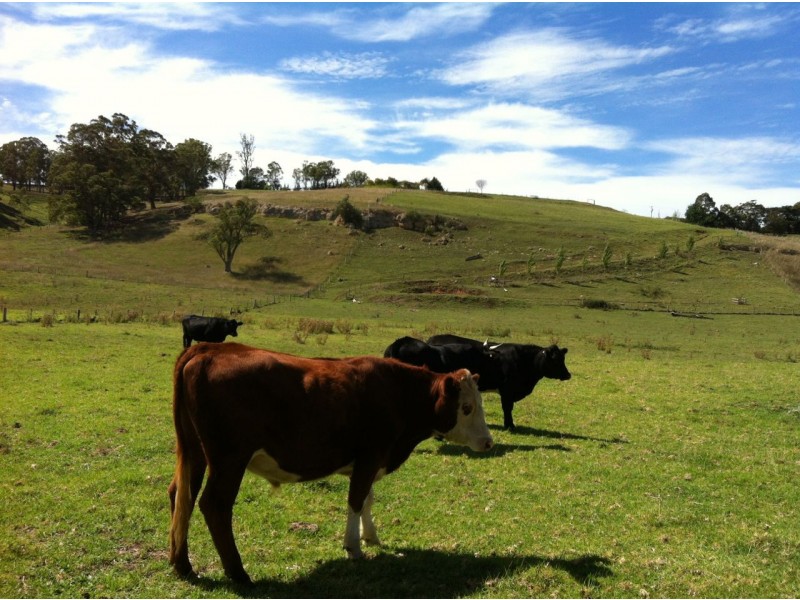 219 Tambo Upper Road, Swan Reach VIC 3903