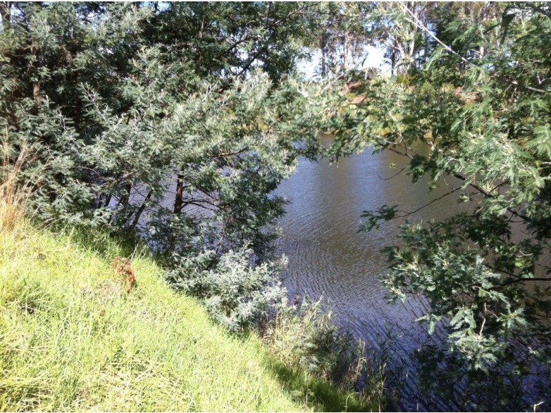 219 Tambo Upper Road, Swan Reach VIC 3903