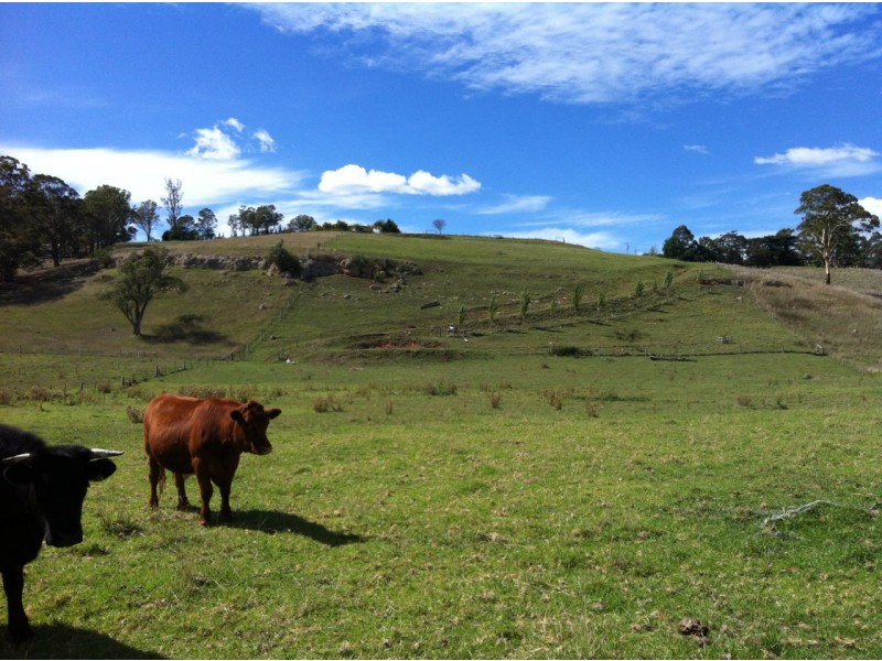 219 Tambo Upper Road, Swan Reach VIC 3903