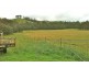 Clifton Creek VIC 3875