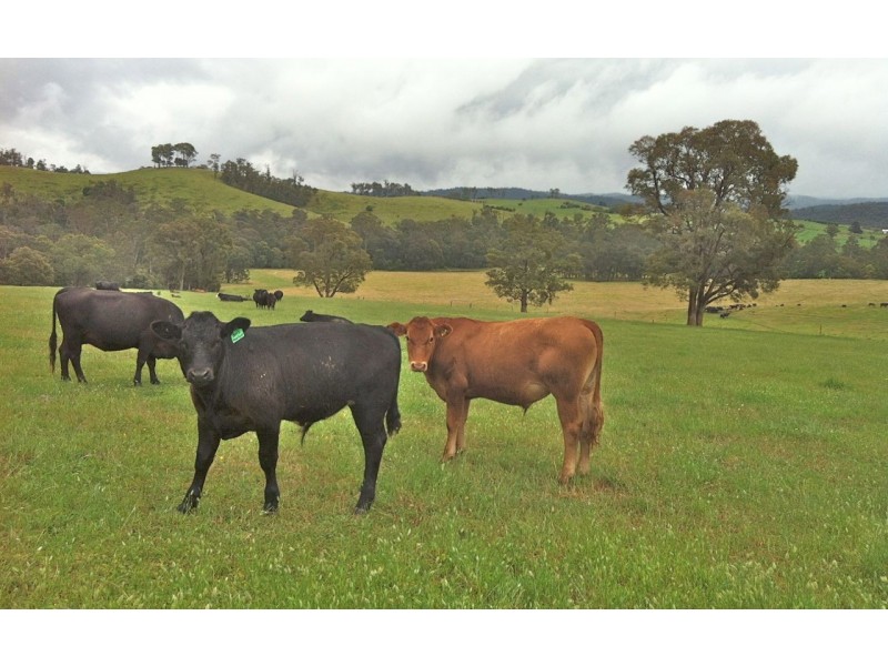 Clifton Creek VIC 3875