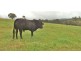 Clifton Creek VIC 3875