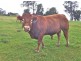 Clifton Creek VIC 3875