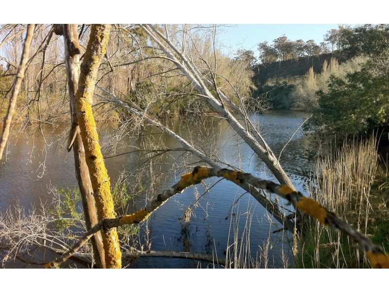 60 Johnsons Road, Bumberrah VIC 3902