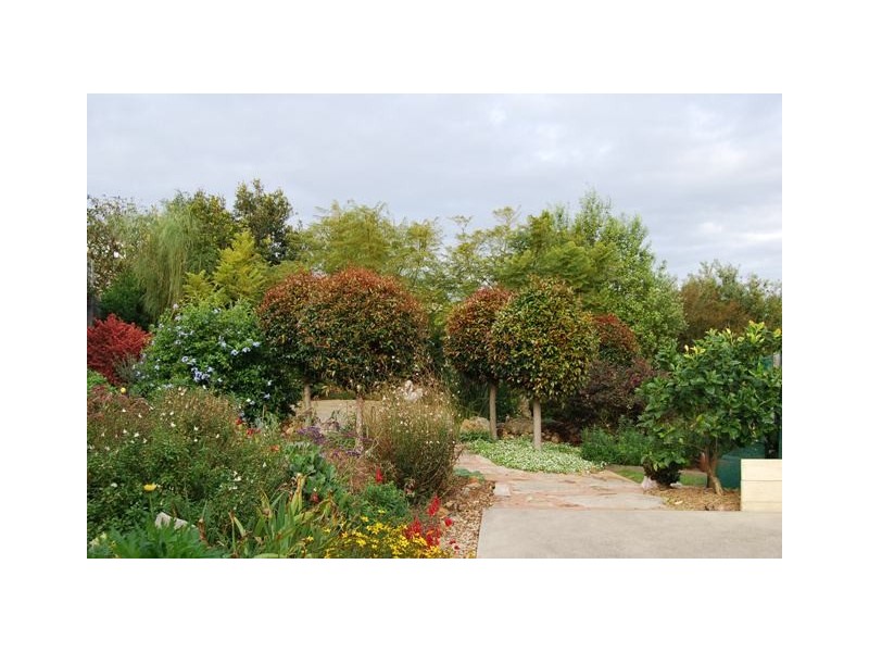 10 Clematis Court, Lakes Entrance VIC 3909