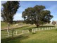 335 Tambo Upper Road, Swan Reach VIC 3903