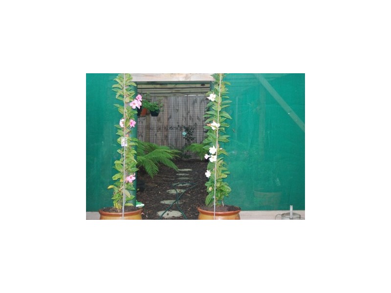 26 Bream Road, Lake Tyers Beach VIC 3909