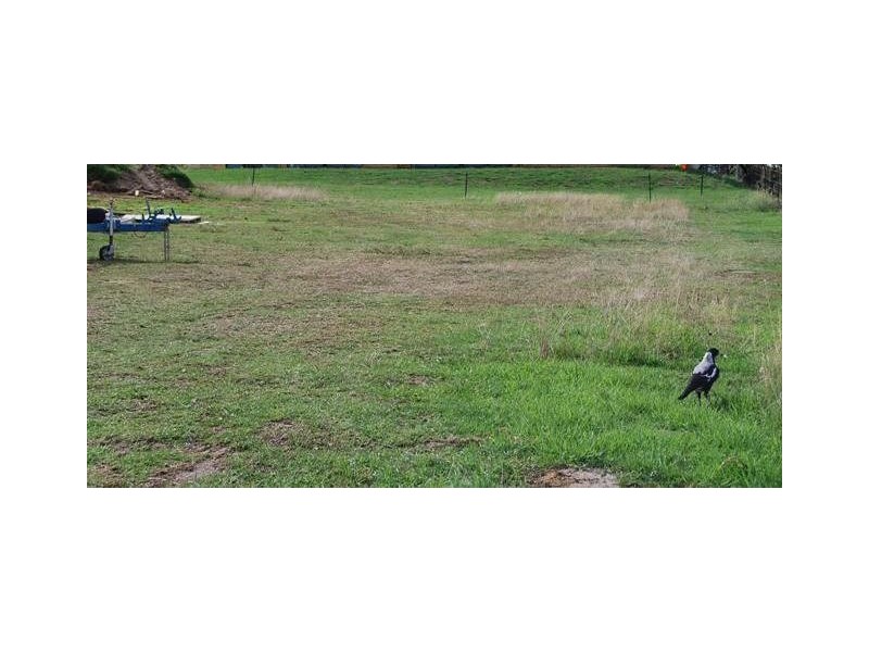 8 Lawson Drive, Lakes Entrance VIC 3909