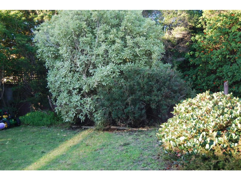 16 Nautilus Way, Lakes Entrance VIC 3909