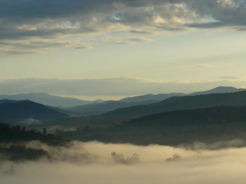 4410 Buchan Orbost Road, Buchan VIC 3885