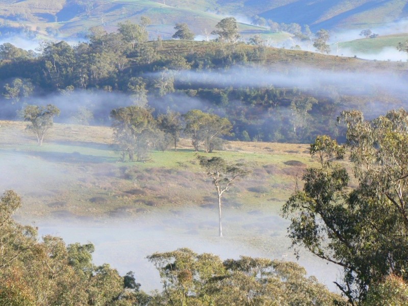 4410 Buchan Orbost Road, Buchan VIC 3885