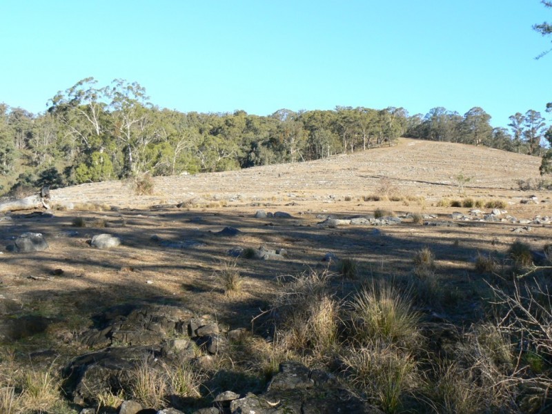 4410 Buchan Orbost Road, Buchan VIC 3885