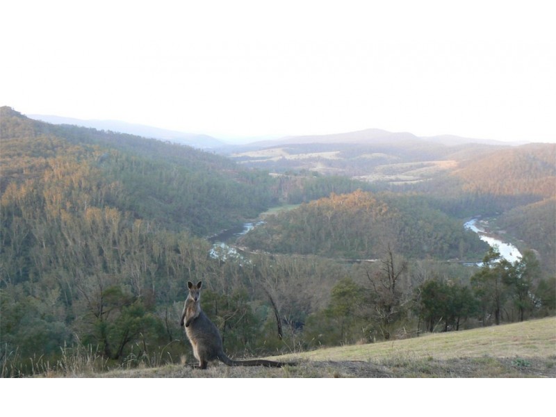 4410 Buchan Orbost Road, Buchan VIC 3885