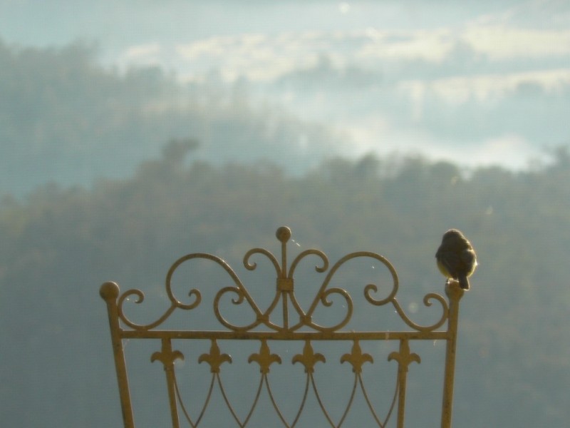 4410 Buchan Orbost Road, Buchan VIC 3885