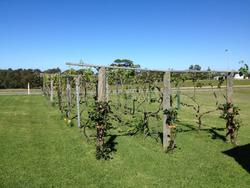 4 Curlew Grove, Metung VIC 3904