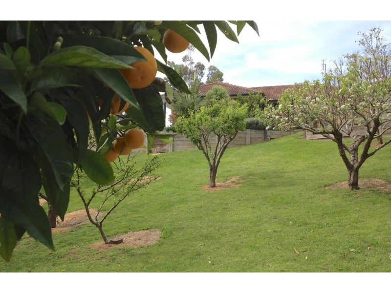 15 Nicholas Avenue, Metung VIC 3904