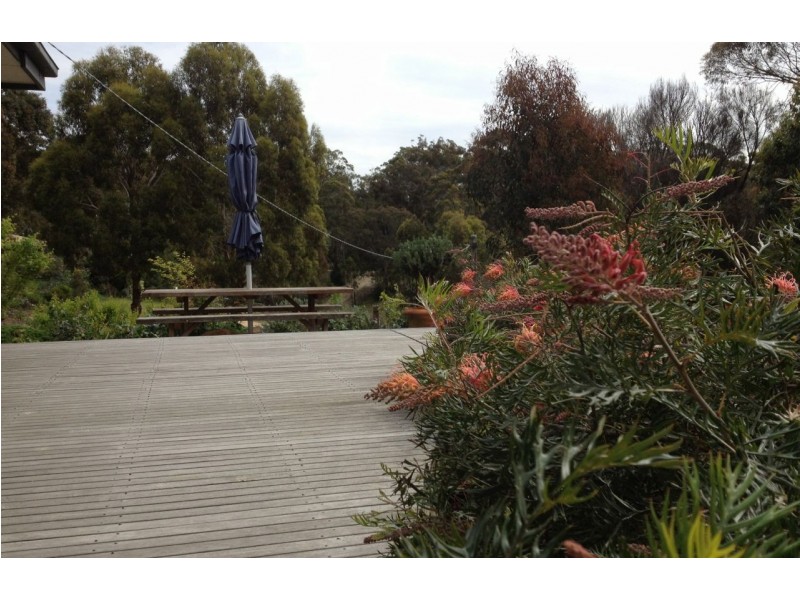 15 Nicholas Avenue, Metung VIC 3904