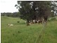 125 Cornwalls Road, Nungurner VIC 3909