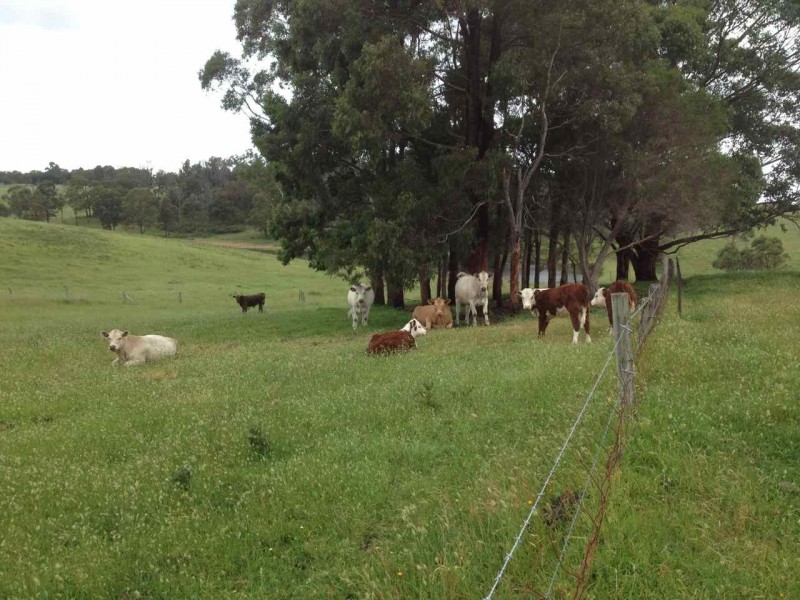 125 Cornwalls Road, Nungurner VIC 3909