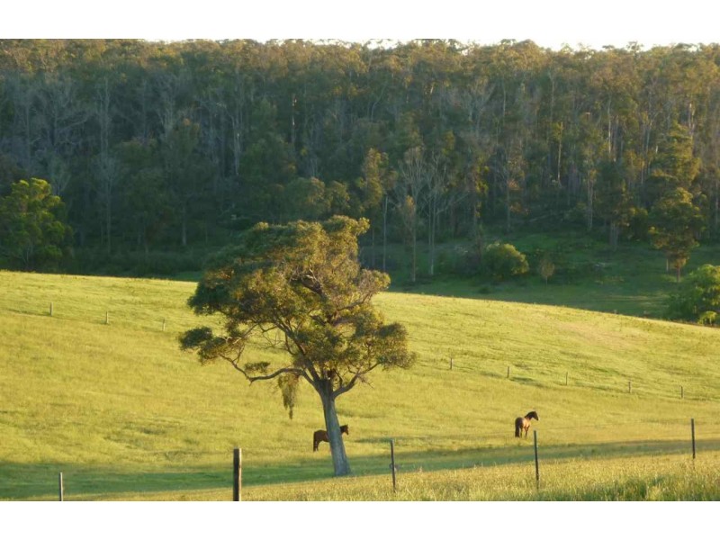 125 Cornwalls Road, Nungurner VIC 3909