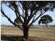 32 The Plateau Avenue, Metung VIC 3904