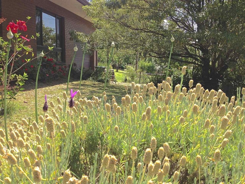 49 Stirling Road, Metung VIC 3904