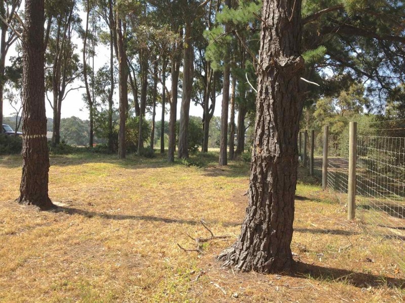 13 Broadlands Road, Metung VIC 3904