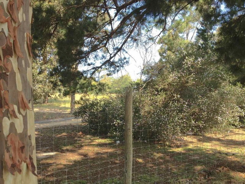 13 Broadlands Road, Metung VIC 3904