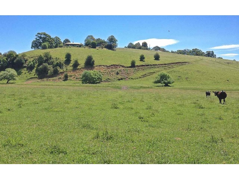 Tambo Upper VIC 3885