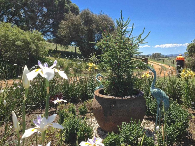 Tambo Upper VIC 3885