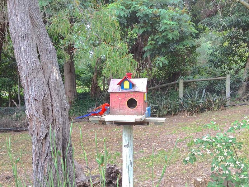 215 Nungurner Jetty Road, Nungurner VIC 3909