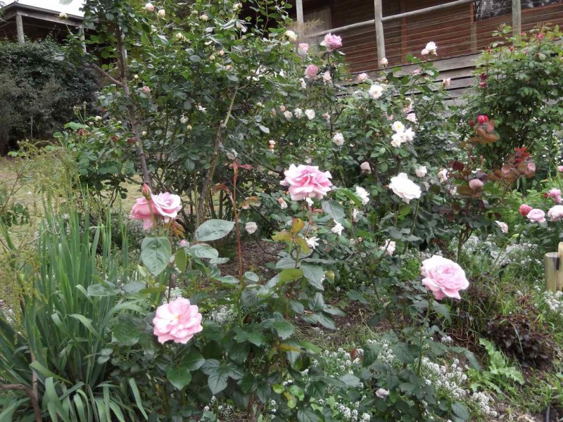 7 Landscape Drive, Metung VIC 3904