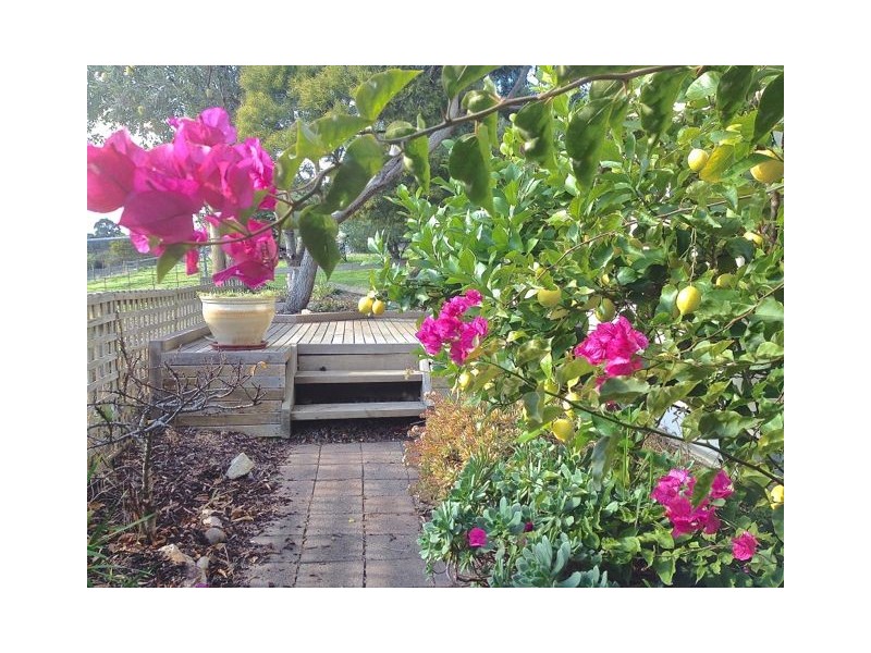 18 Magpie Avenue, Metung VIC 3904