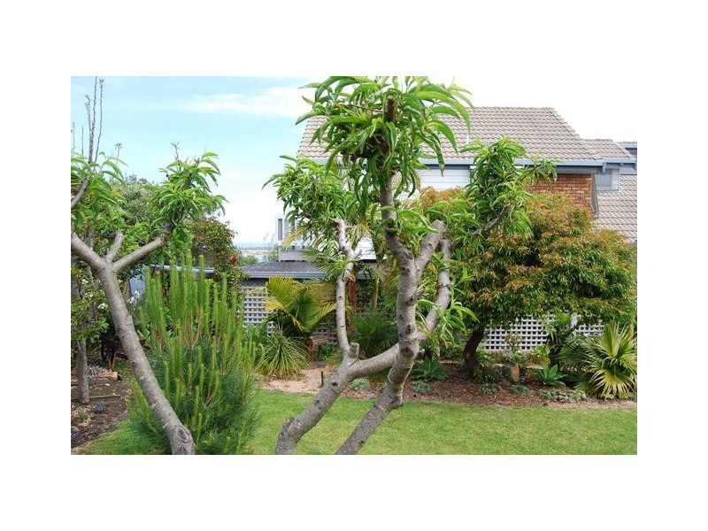 50 Nautilus Way, Lakes Entrance VIC 3909