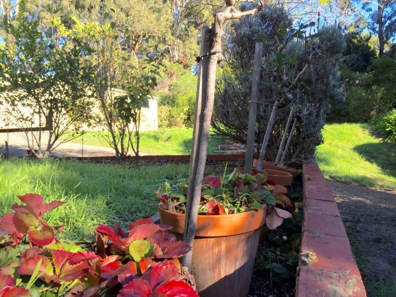 8 Wood Street, Metung VIC 3904