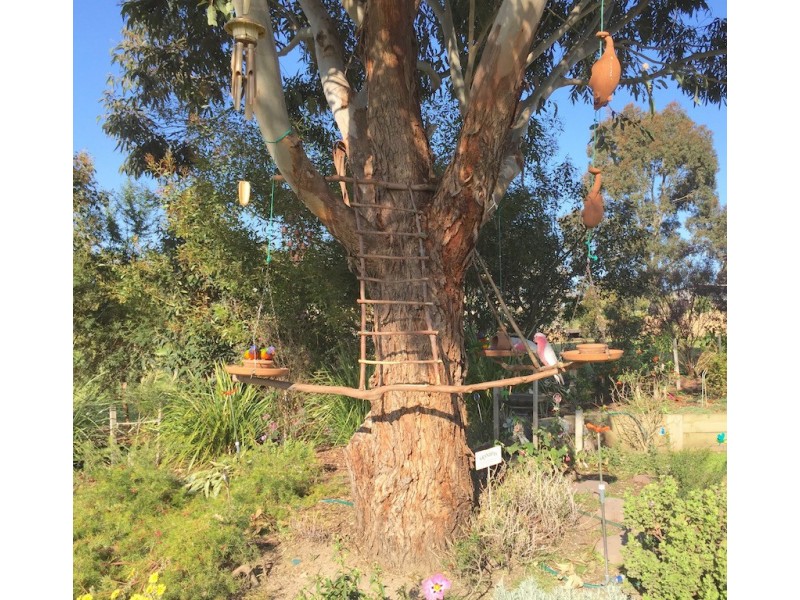 21 The Terrace, Metung VIC 3904