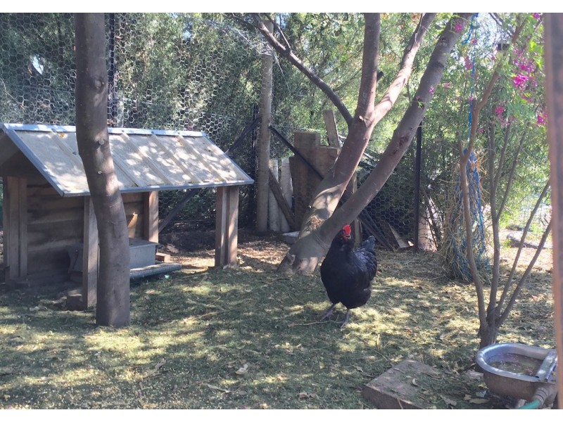 21 The Terrace, Metung VIC 3904