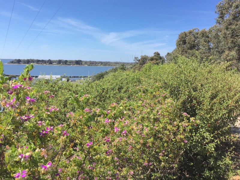 12 Wood Street, Metung VIC 3904