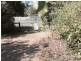 37 Reserve Road, Metung VIC 3904