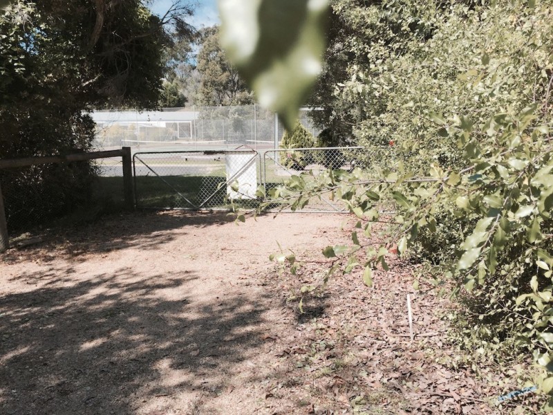 37 Reserve Road, Metung VIC 3904