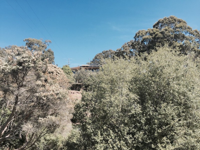 37 Reserve Road, Metung VIC 3904