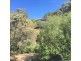 37 Reserve Road, Metung VIC 3904