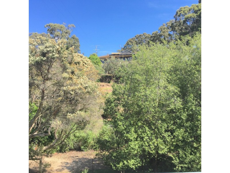37 Reserve Road, Metung VIC 3904