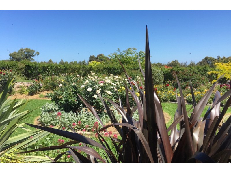 110 Normans Road, Metung VIC 3904